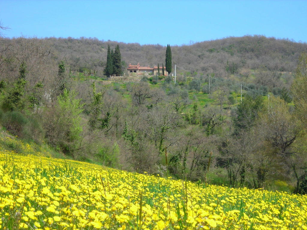 Allegro Agriturismo Argiano Ареццо Екстер'єр фото