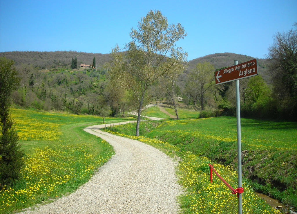 Allegro Agriturismo Argiano Ареццо Екстер'єр фото