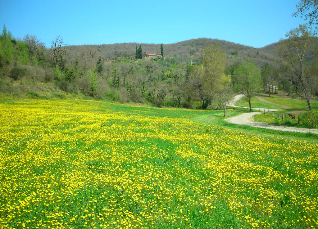 Allegro Agriturismo Argiano Ареццо Екстер'єр фото