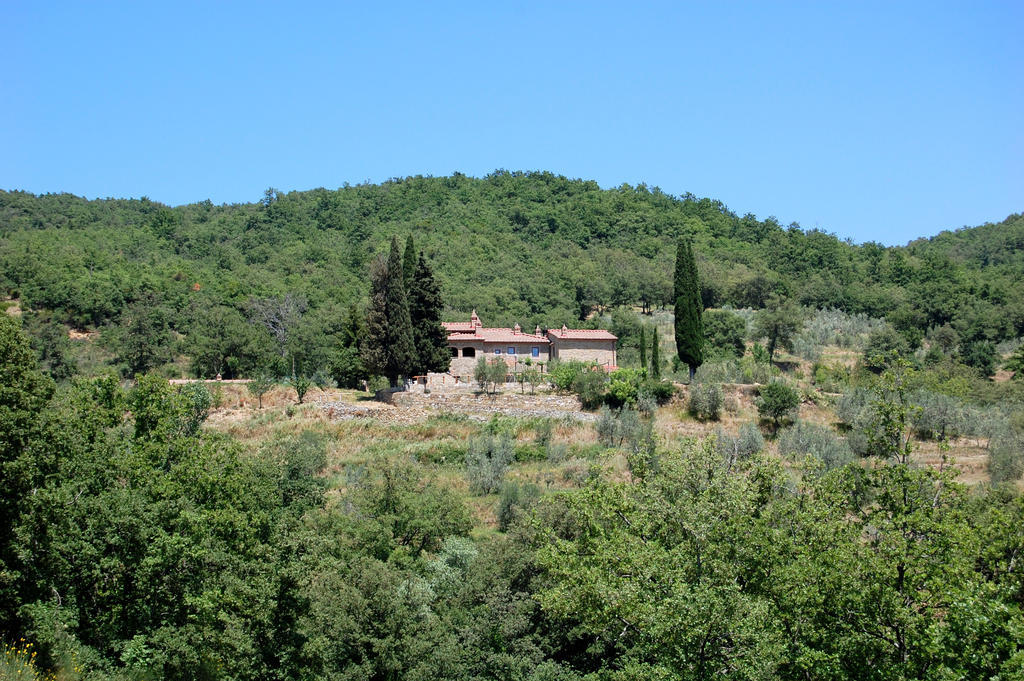 Allegro Agriturismo Argiano Ареццо Екстер'єр фото